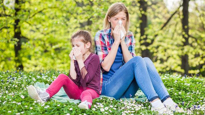 Основные аллергены мая